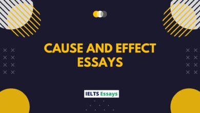 cause and effect essays