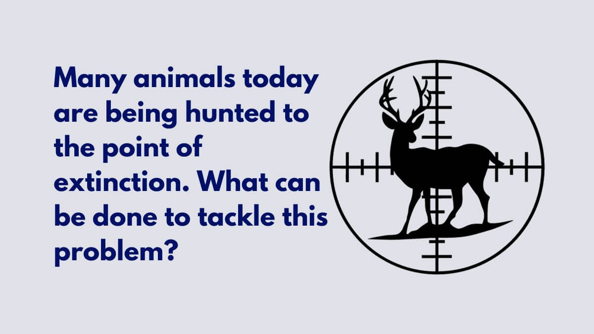 animals are being hunted